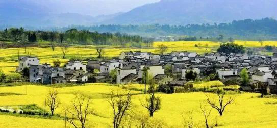 國務院總理李強：全面推進鄉村振興要關注三個關鍵詞